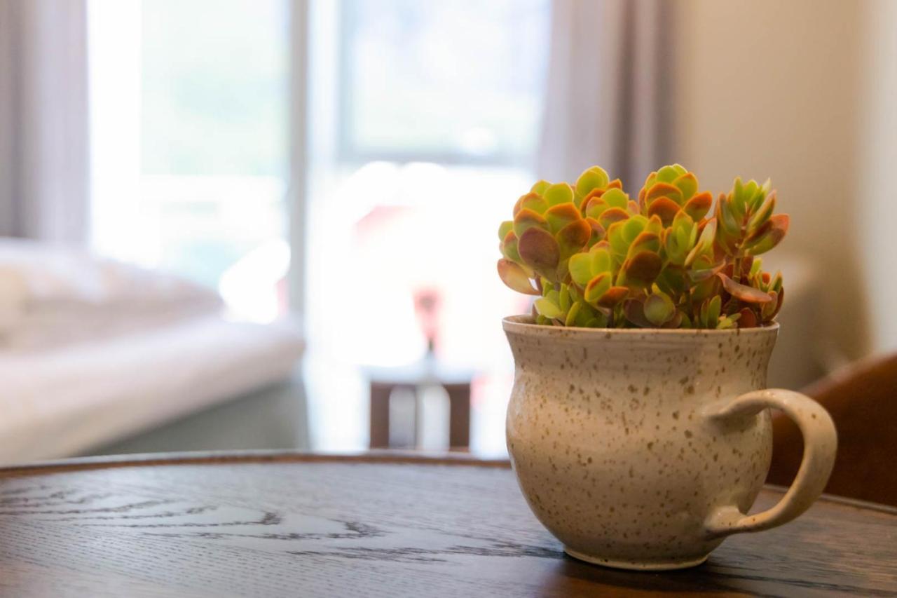 May'S Apartments By May'S Reine Bagian luar foto